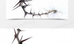 刺 荆棘 在线观看,在线观看，探寻人生坎坷与成长之旅